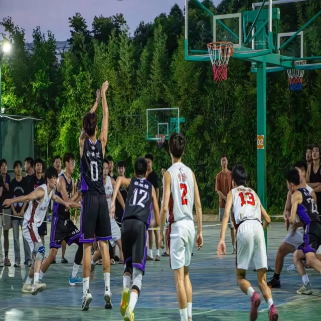 樊振东强势回归国内乒乓赛场